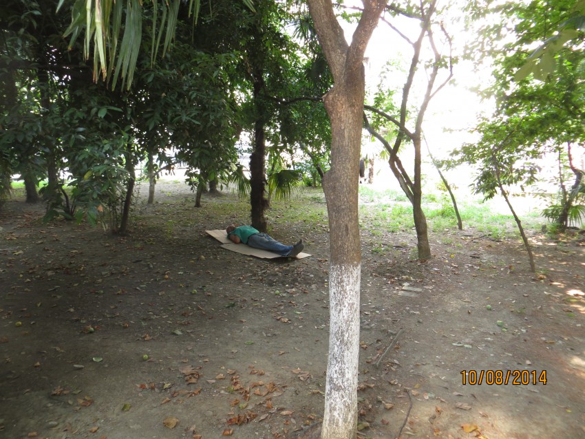 Газон, фото1