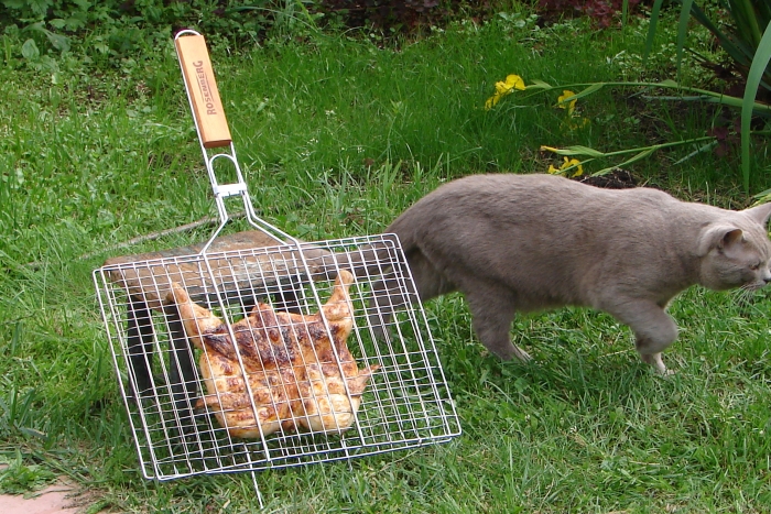 Британец Плюшка