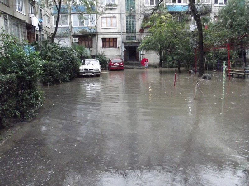 Чем не цирк)))