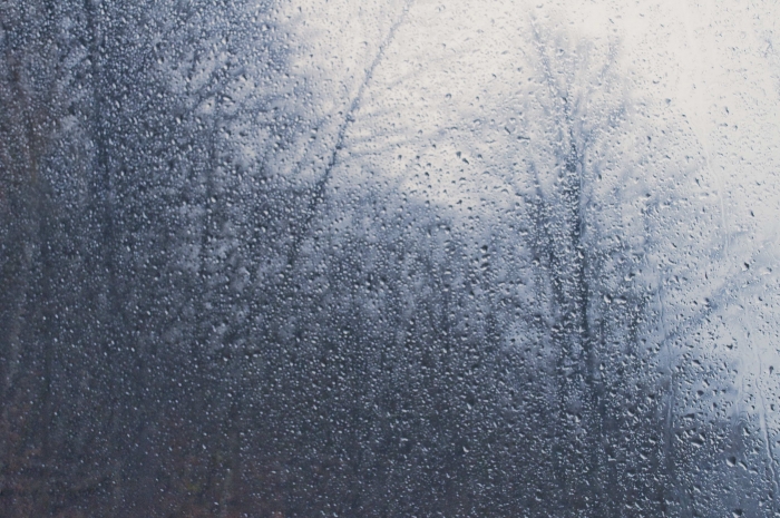 с утра был дождь