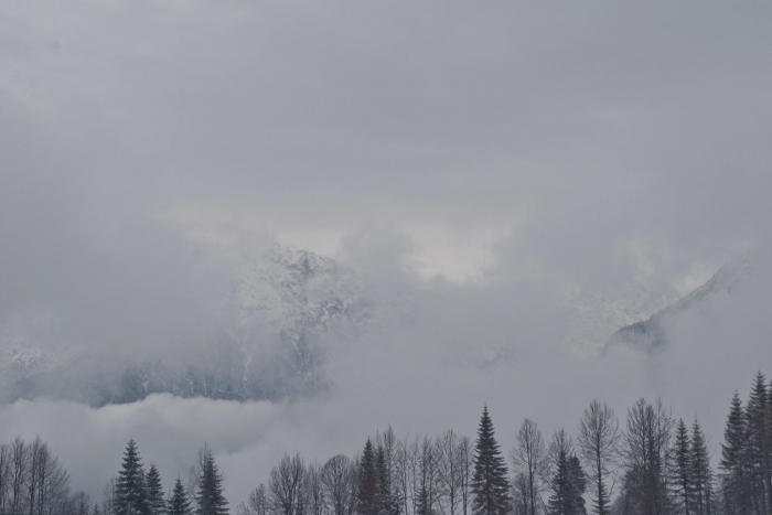туман окутывал вешины