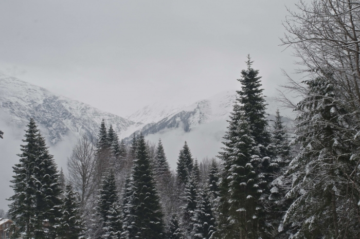 не первый но еще робкий снег