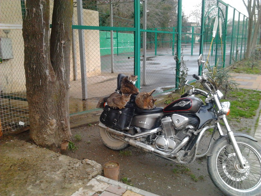 байкеры Сочи