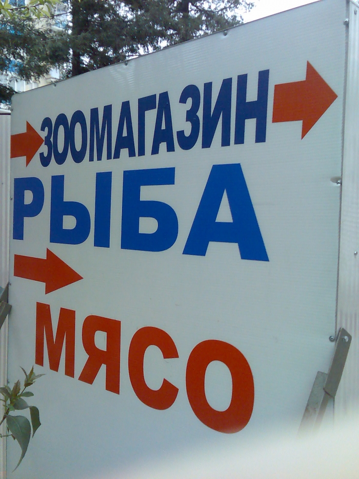 У нас ВСЁ  СВЕЖЕЕ !!!