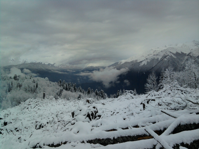 2010-12-13 Время:15:47:28