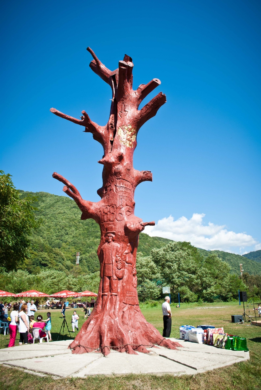 Местный дуб