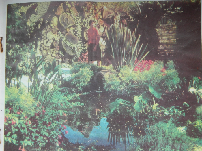 "Фитофантазия"