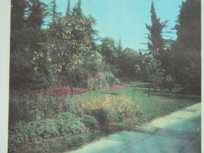 Тот же Комсомольский сквер.