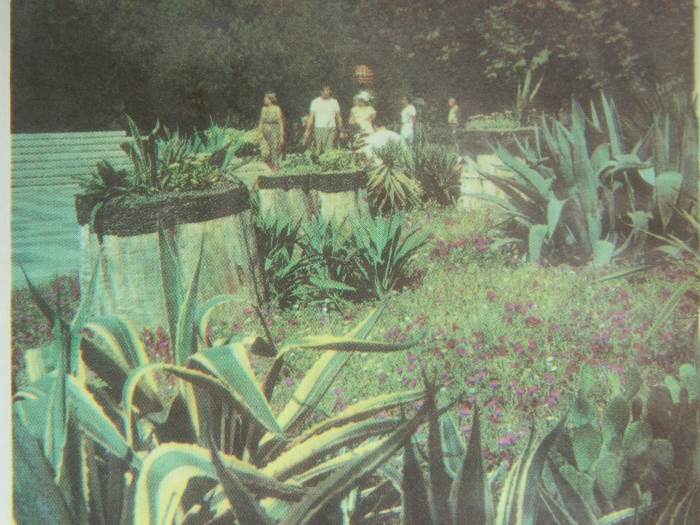 Кинотеатр "Спутник"