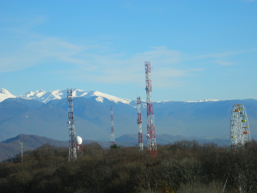 железный лес