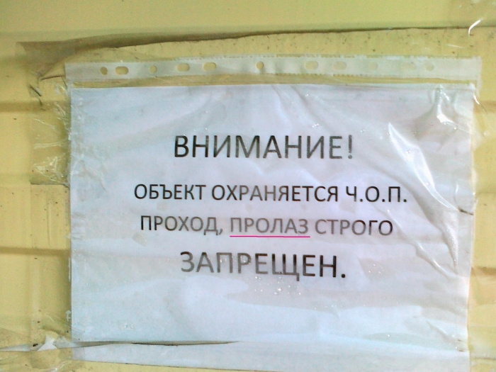 на платановой аллее