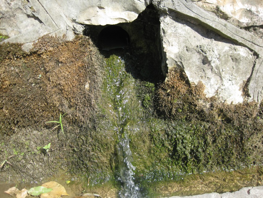 С другой стороны поликлиники