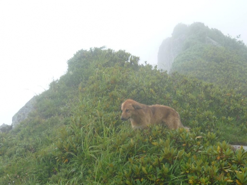 на вершине на вершине