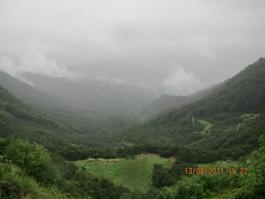 красота!!!! красота!!!!