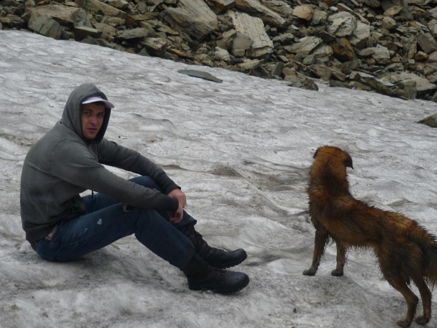 на снежнике на снежнике