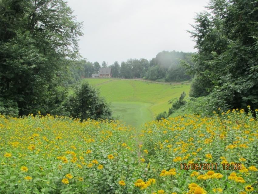 Хмелевские озера Хмелевские озера
