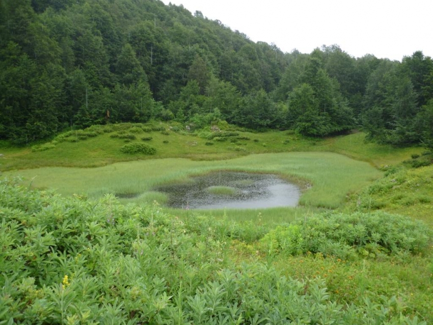 Хмелевские озера Хмелевские озера
