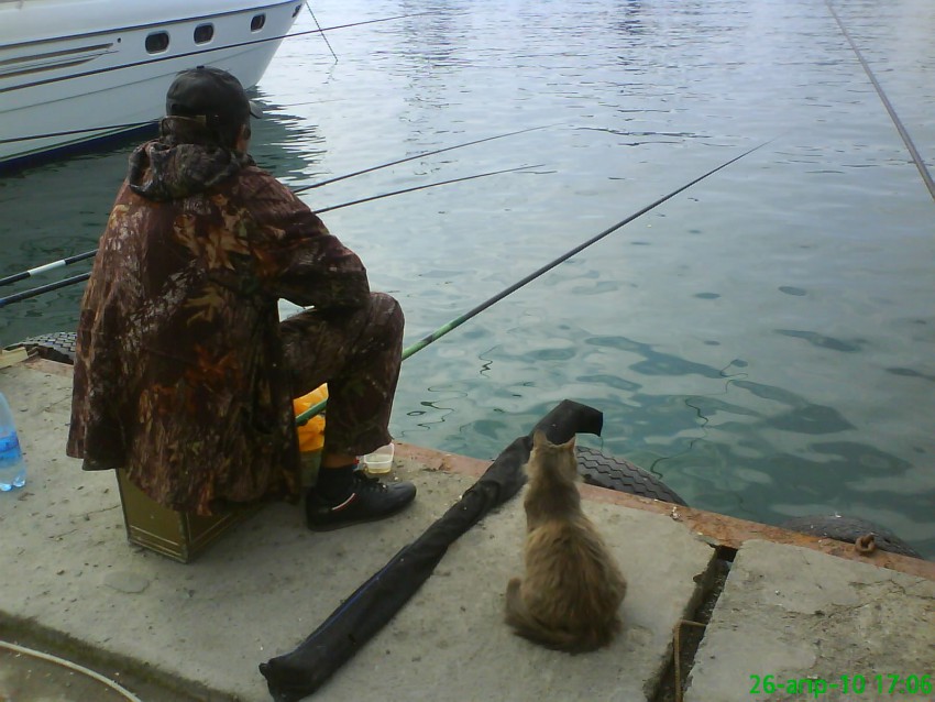 Эх, это было позапрошлым летом