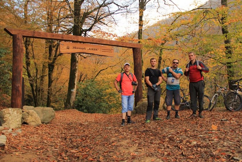 вот мы всей командой