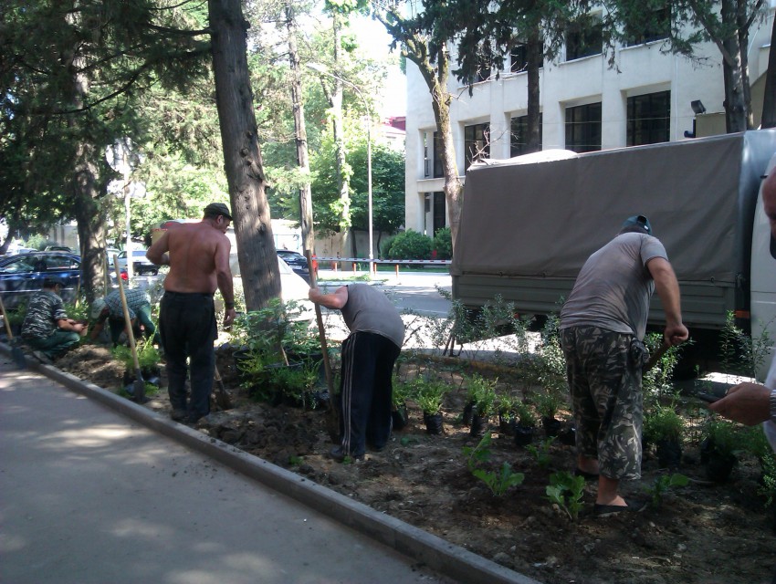 Высадка 18.07.12 на ул.К.Либкнехта