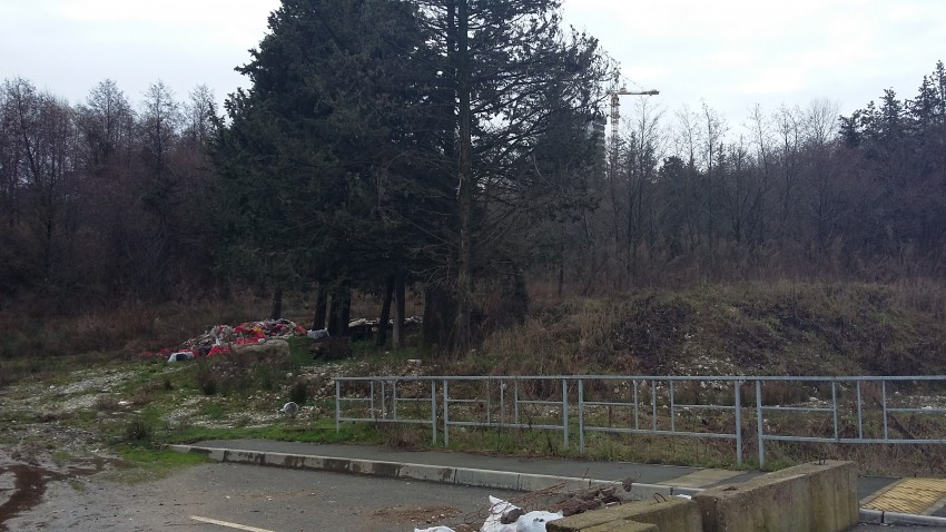 31 января 2016г