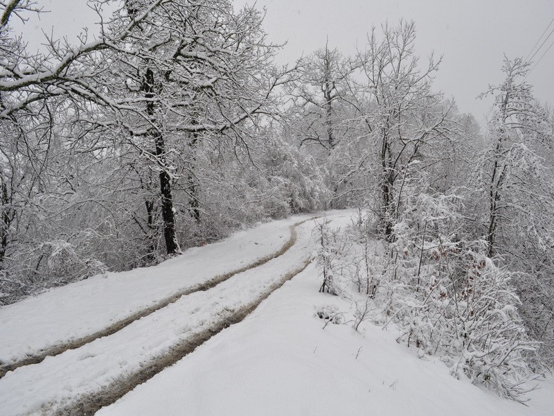 На полпути к Солохаулу