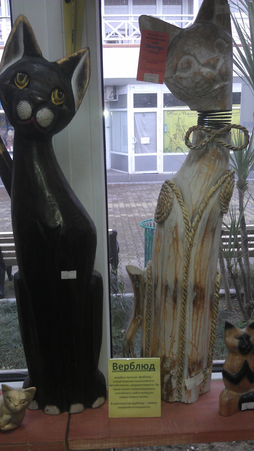 верблюд верблюд