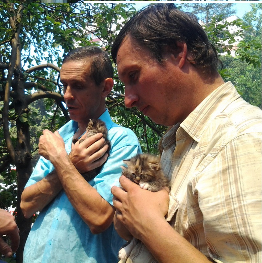 Спасенные котята