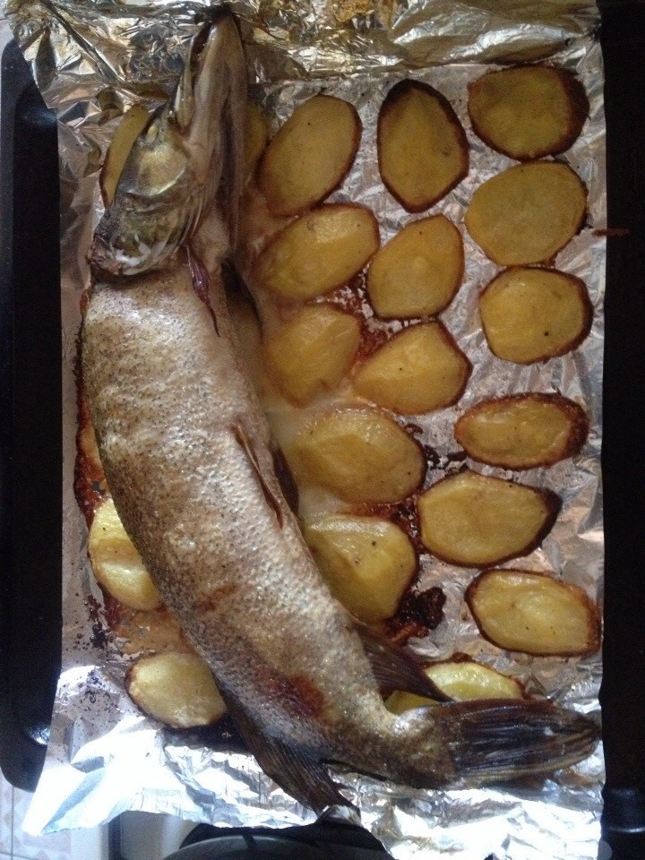 Щука фаршированная... собой )