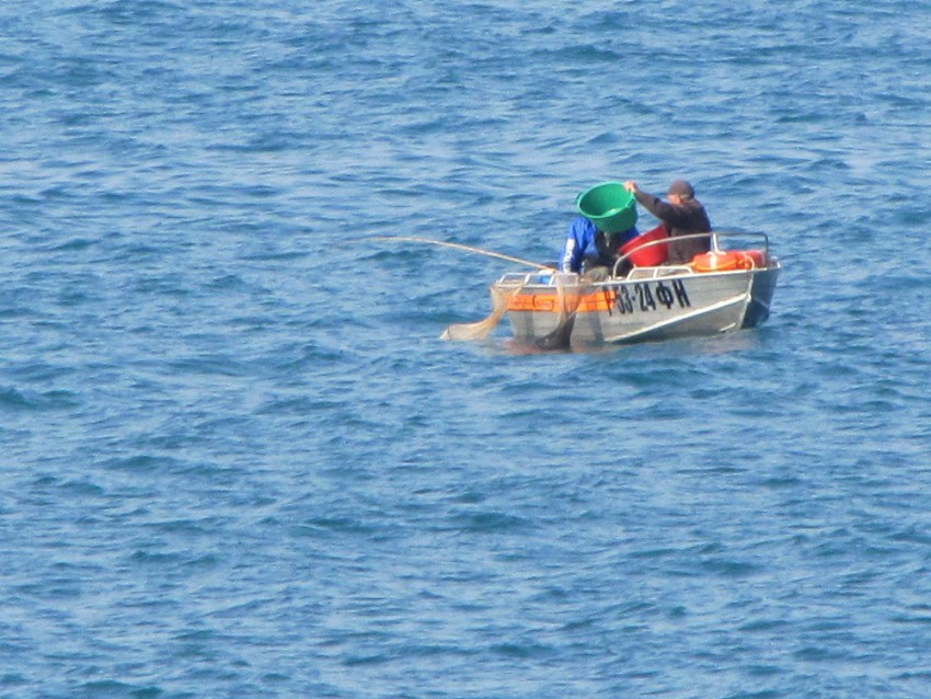 Ловля ставриды с лодки