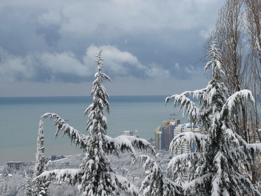 Слуги Снежной королевы