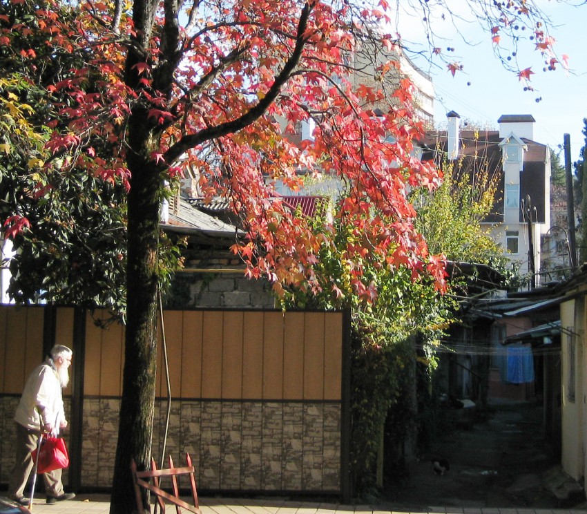 Зима жизни нашей...