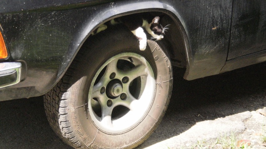 Теперь поспать