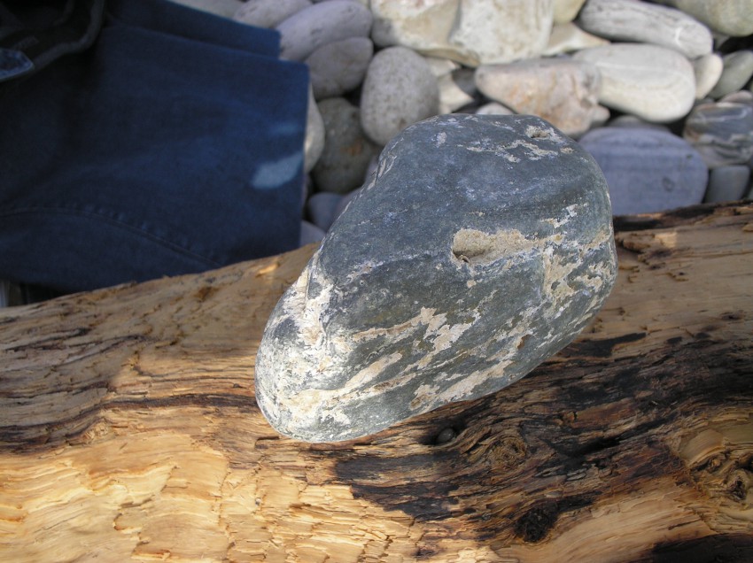 Голова динозавра