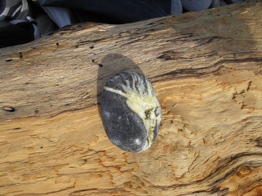 Медуза Горгона