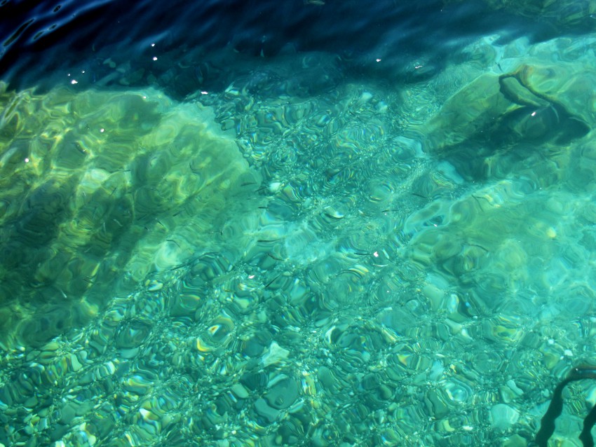 Солнечные рыбки Солнечные рыбки