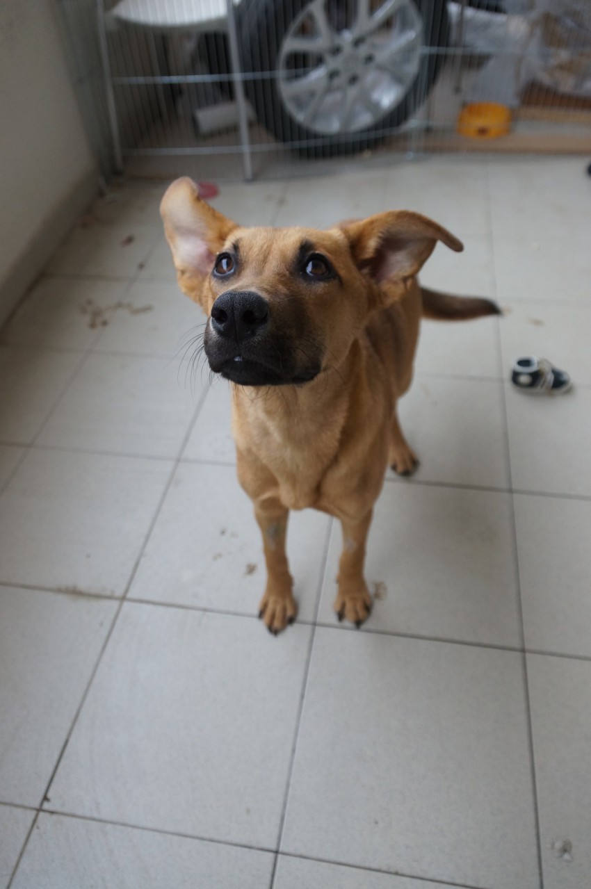 вот такая она сейчас