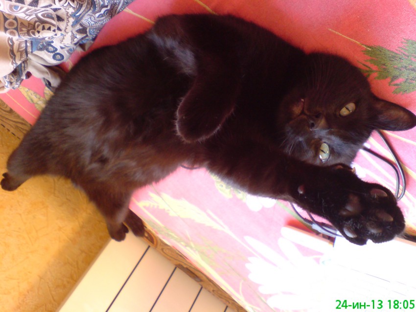 Привет всем!