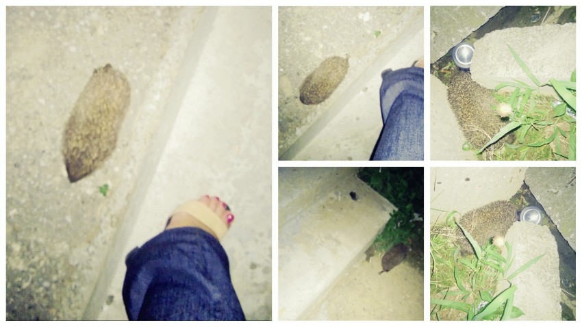 наши друзья:)