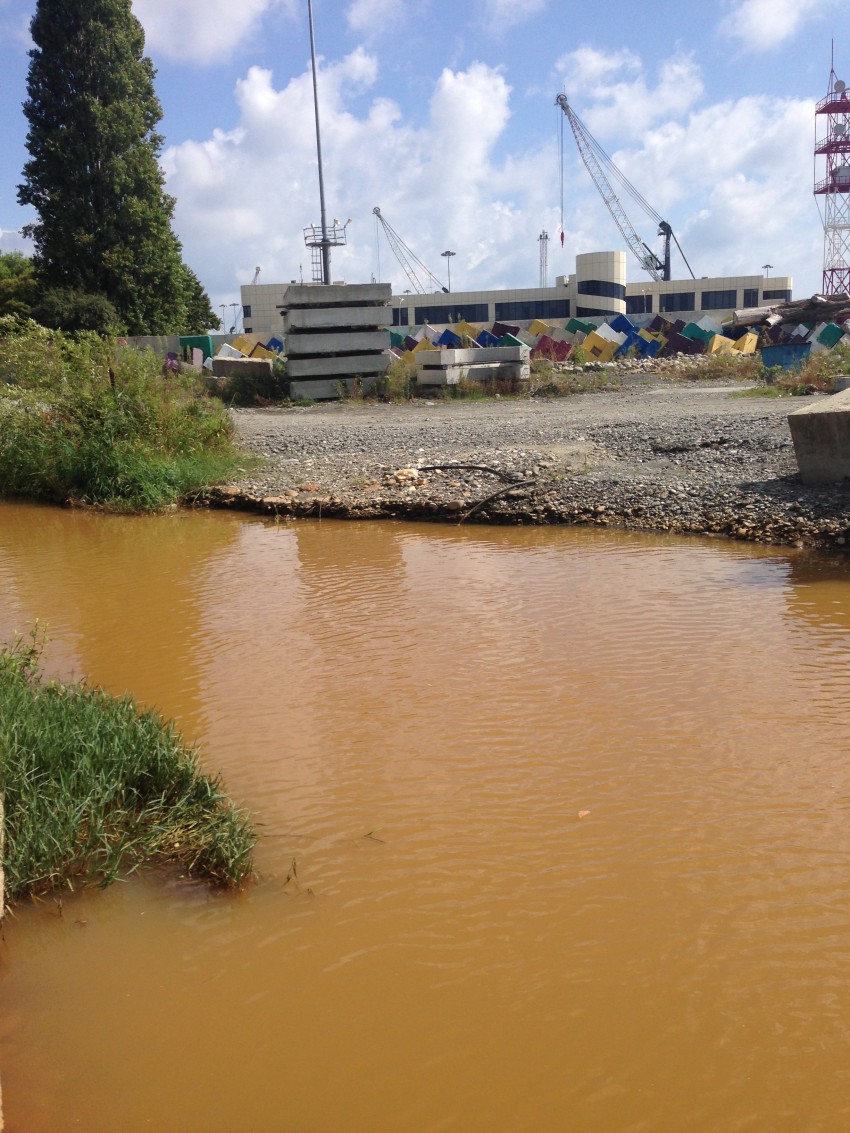 Шикарный цвет