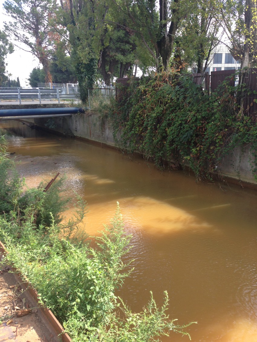 Ручей протекает в конце ул. цветочной