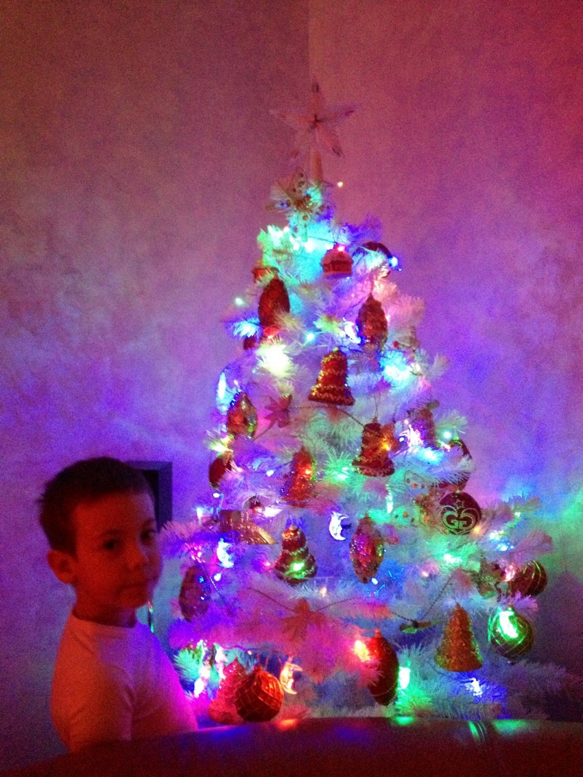 Наша елочка, а живая тоже в горшке растет