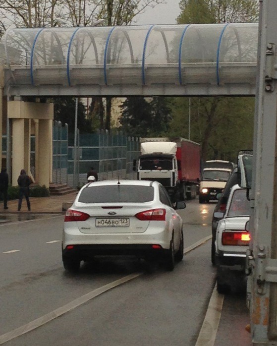 Я самая умная