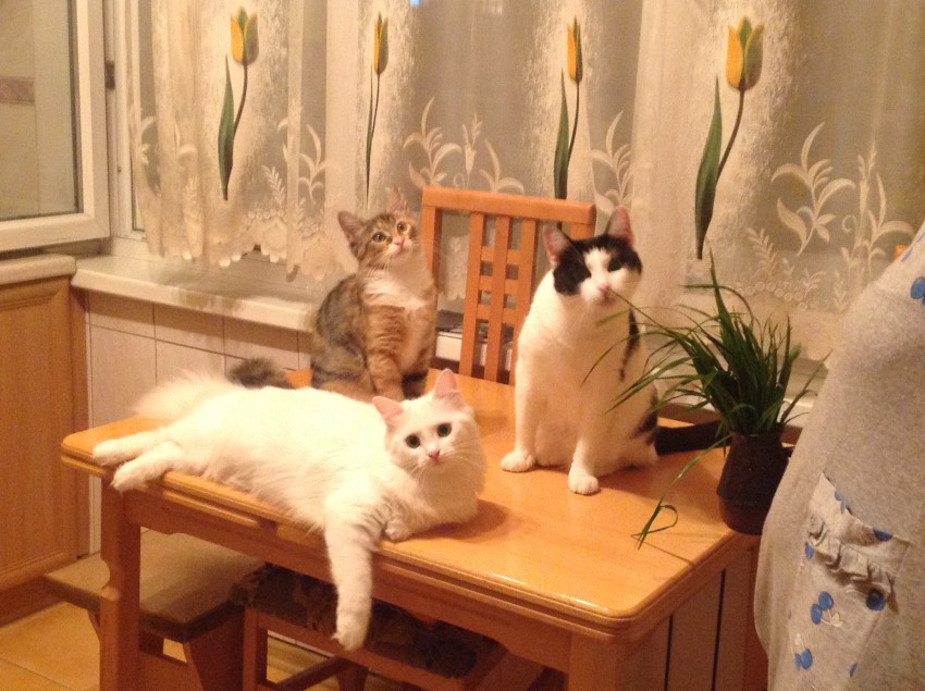 усы и глаза -все на месте)