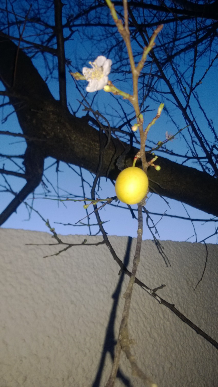 А мы вчера на Мамайке сфоткали