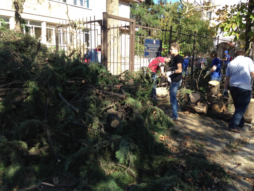 В процессе работы 5 В процессе работы 5