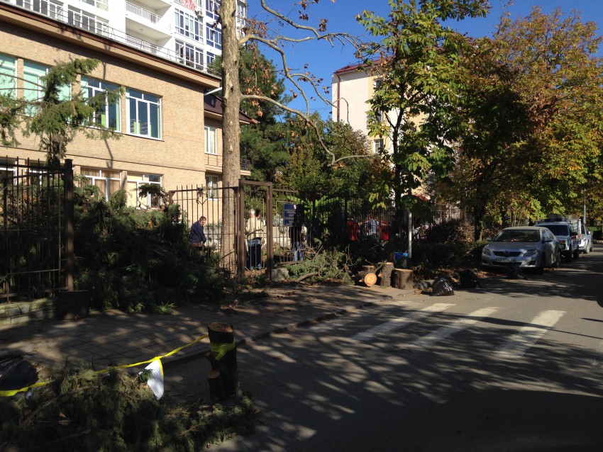 В процессе работы В процессе работы