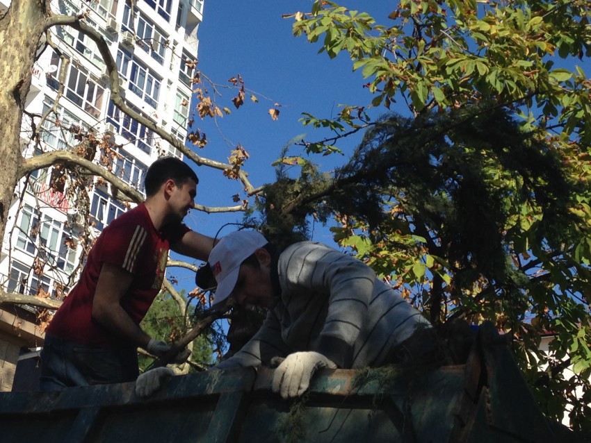 В процессе работы 10 В процессе работы 10