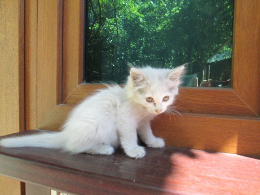 мальчик 2,5 мес