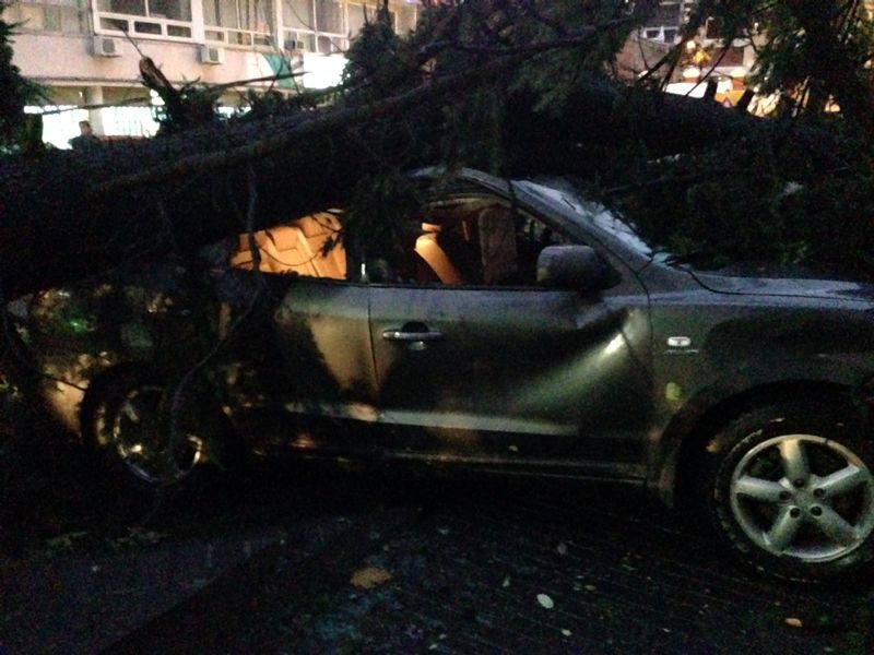 вот, кстати, тот паркетинк..